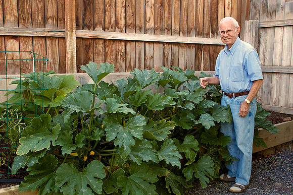 Zucchini overload
