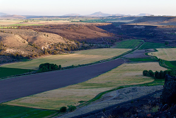 Fields north of Madras