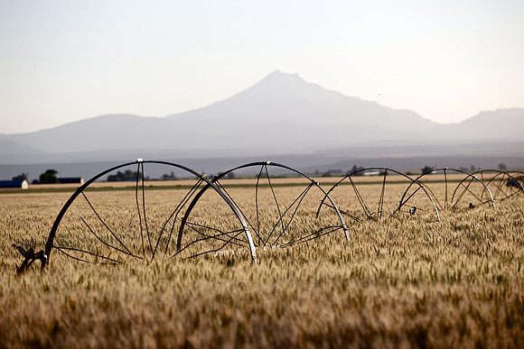 Irrigation pipes outside Madras
