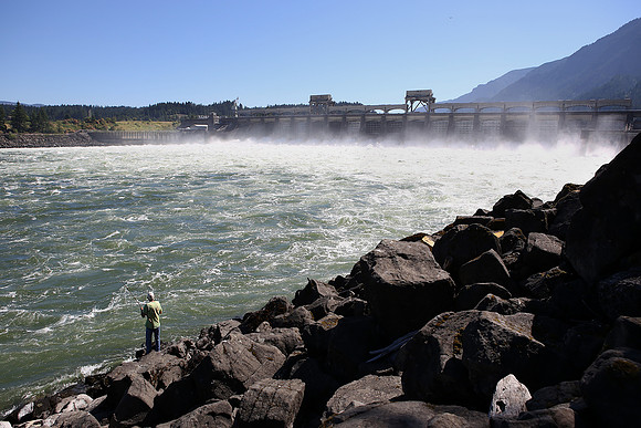 Pikeminnow Bounty Program Alive and Well at Bonneville Dam