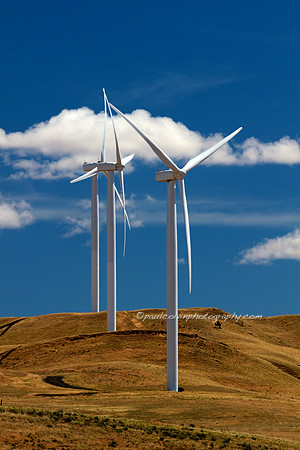 Eastern Oregon Wind Turbines