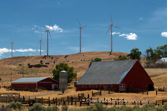 Barn and Wind Turbines