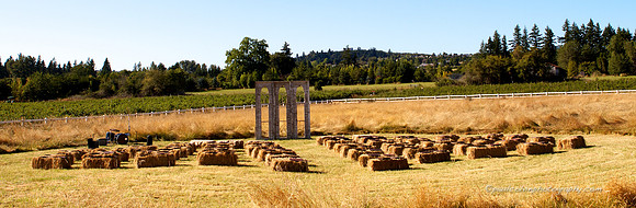 kitandlee08202011 15